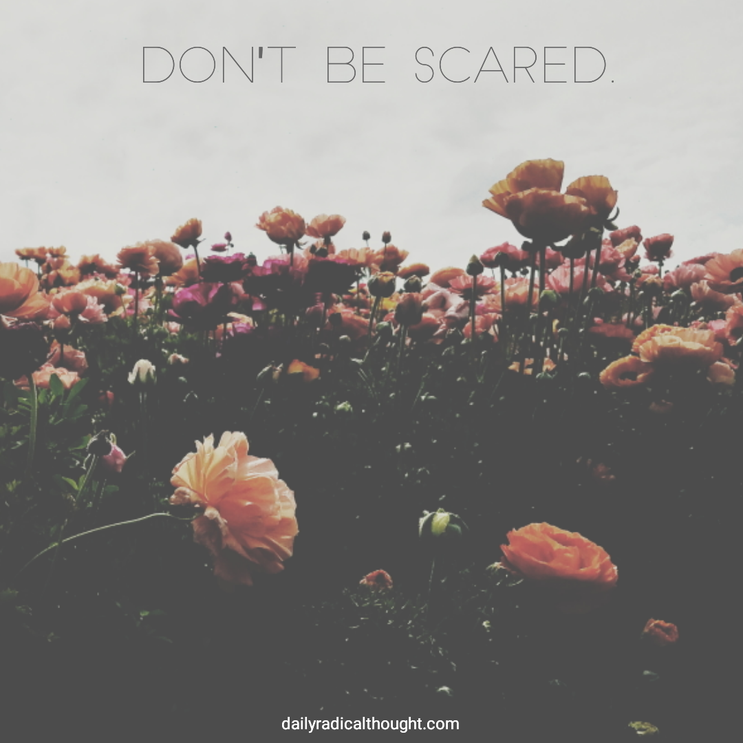 Don't be scared, keep going, courage, moody flowers, Erin J Bernard, dailyradicalthought.com