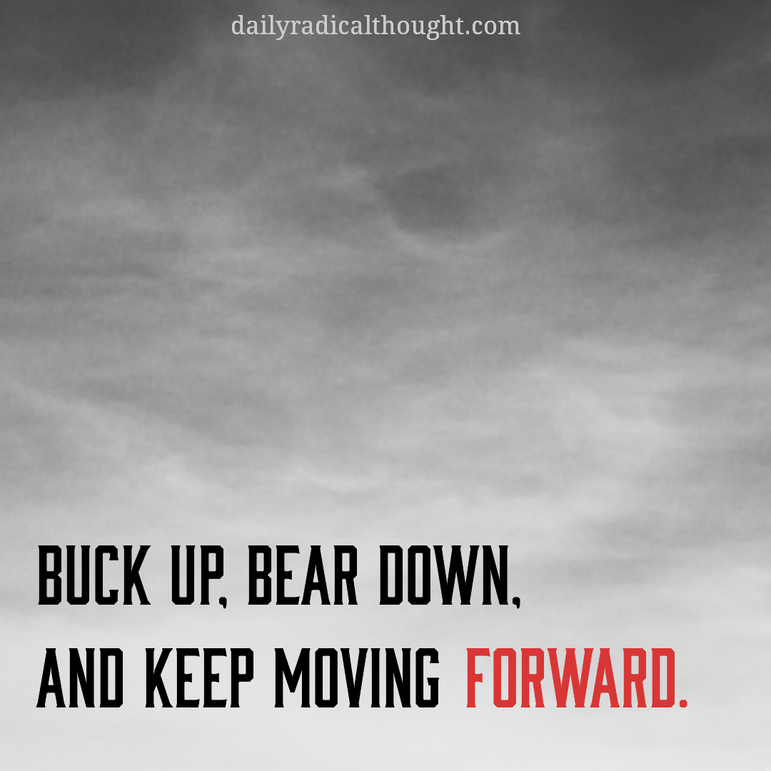 Keep moving forward, buck up, bear down, Erin J Bernard, dailyradicalthought.com